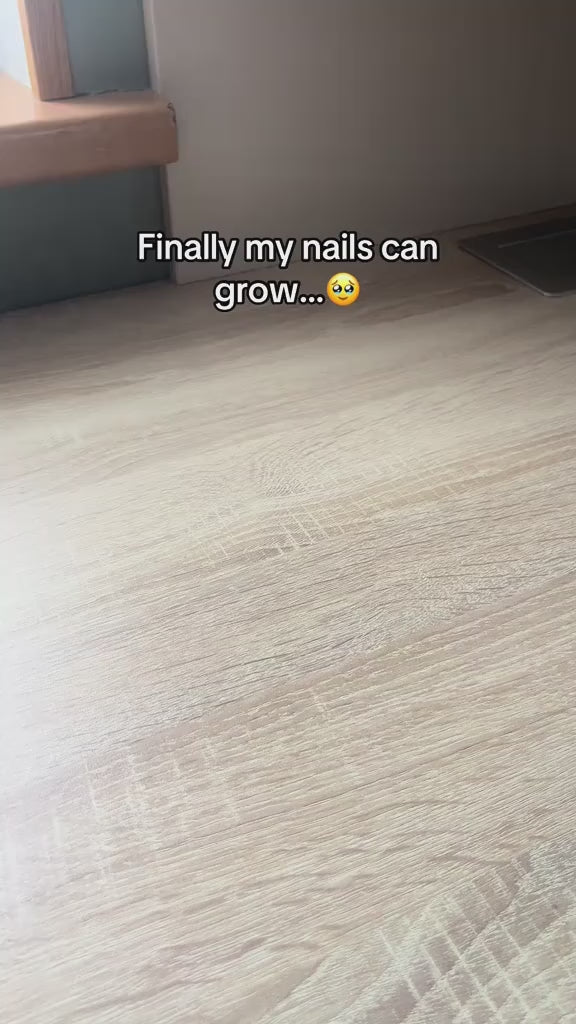 tiktok_smartspeakai_home_7603718876102233366.mp4